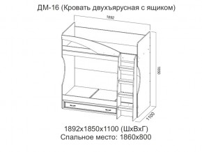 ДМ-16 Кровать двухъярусная с ящиком в Сысерти - sysert.магазин96.com | фото