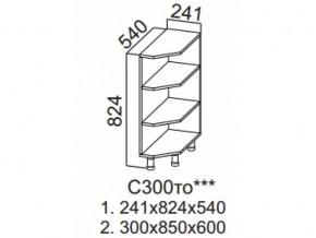 С300то Стол рабочий 300 (торцевой открытый) в Сысерти - sysert.магазин96.com | фото