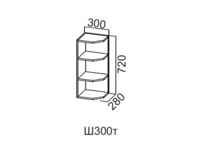 Ш300т/720 Шкаф навесной 300/720 (торцевой) в Сысерти - sysert.магазин96.com | фото