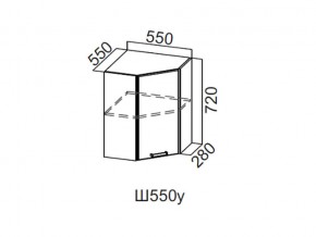 Ш550у/720 Шкаф навесной 550/720 (угловой) в Сысерти - sysert.магазин96.com | фото