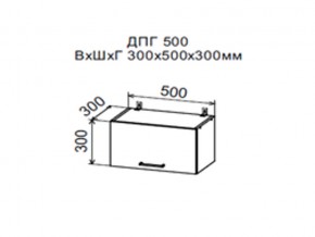 Шкаф верхний ДПГ500 горизонтальный в Сысерти - sysert.магазин96.com | фото