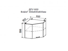 Шкаф верхний ДПУ600 угловой в Сысерти - sysert.магазин96.com | фото